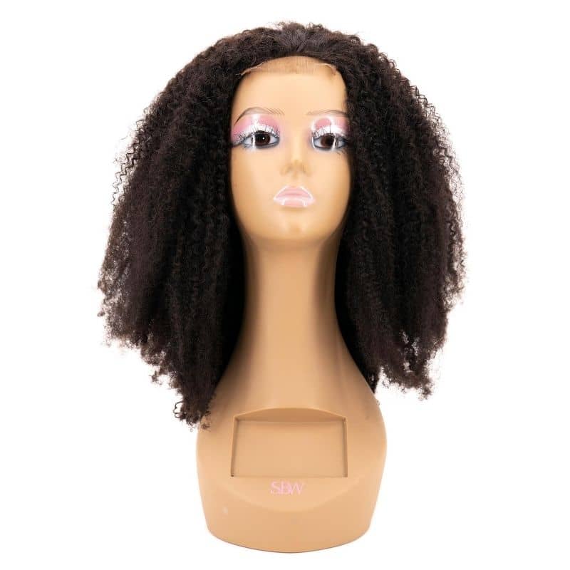 Afro Kinky Curly 4x4 Transparent Lace 100% Human Hair Closure Wig - Image 4
