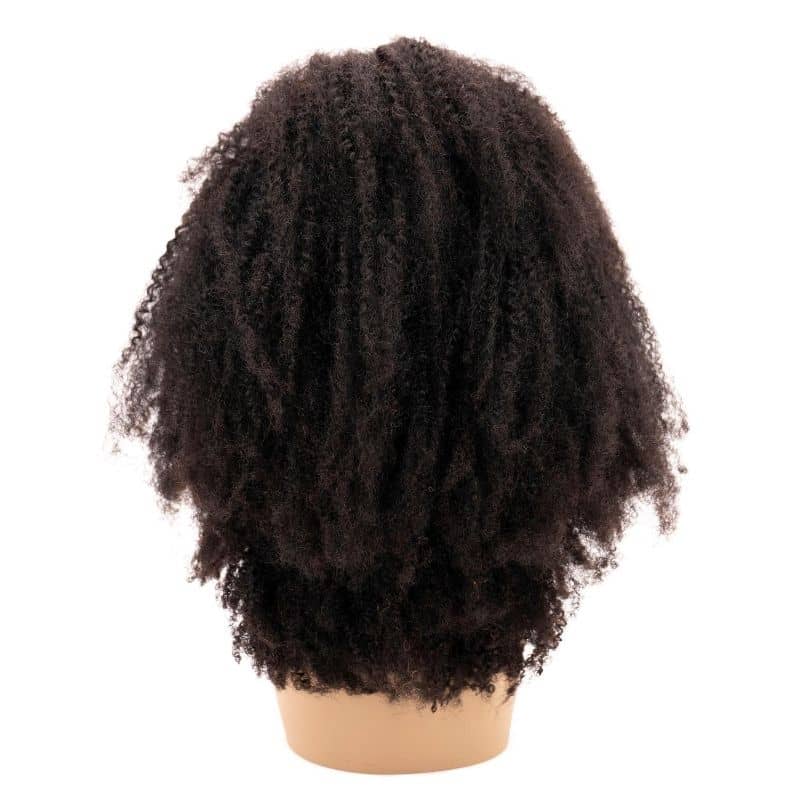 Afro Kinky Curly 4x4 Transparent Lace 100% Human Hair Closure Wig - Image 5